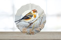 Vintage Swift Bird Wind Spinner,Decoupage Swifts Wind Spinner,Wind Spinner Love,Vintage Birds Wind Spinner, Vintage Swift Bird Spinner,Decoupage Swifts Spinner, Vintage Birds Spinner,Alt Wind Spinner, Sublimation Vintage Swift Bird,Sublimation Wind Spinne