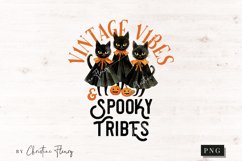 Vintage Vibes &amp; Spooky Tribes PNG | Halloween Sublimation Product Image 1