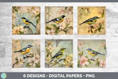 Bundle of six Decoupage Warblers Paper Backgrounds designs.
