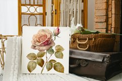 Vintage roses clipart png Product Image 7