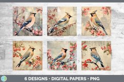 Bundle of six Decoupage Waxwings Paper Backgrounds designs.