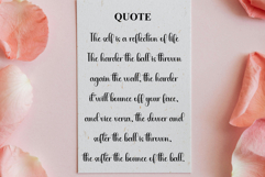 Vintage Product Image 6