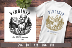 Virginia svg Vintage United states svg