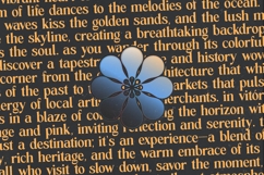 Vitoria - Bold Tall Serif Display Font Product Image 12