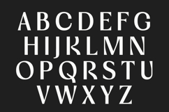 Vogera Minimal Editorial Serif Product Image 8