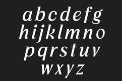Vogera Minimal Editorial Serif Product Image 9