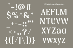 Vogera Minimal Editorial Serif Product Image 10
