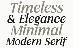 Vogera Minimal Editorial Serif Product Image 11