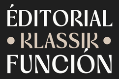 Vogera Minimal Editorial Serif Product Image 13