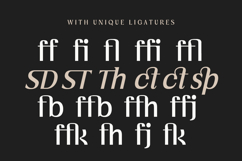 Vogera Minimal Editorial Serif Product Image 14