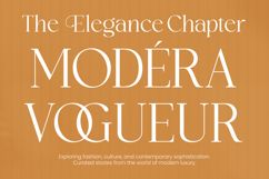 Vogures Fabric Modern Elegant Serif Product Image 6