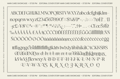 Vogures Fabric Modern Elegant Serif Product Image 10