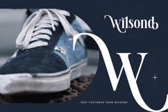 Voilstar - Modern Display Serif Product Image 8