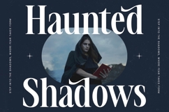 Voilstar - Modern Display Serif Product Image 13