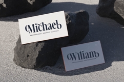 Voilstar - Modern Display Serif Product Image 14