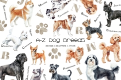Watercolor alphabet dog breeds clipart ABC dogs set Product Image 1