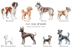 Watercolor alphabet dog breeds clipart ABC dogs set Product Image 4