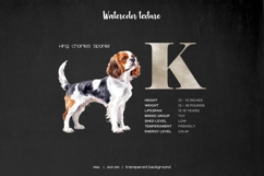 Watercolor alphabet dog breeds clipart ABC dogs set Product Image 6