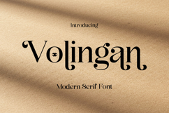 Volingan - Modern Serif Font Product Image 1
