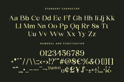 Volingan - Modern Serif Font Product Image 4