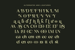 Volingan - Modern Serif Font Product Image 5