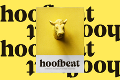 Volkgen Migario - Bold Serif Display Font Product Image 4