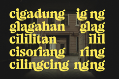 Volkgen Migario - Bold Serif Display Font Product Image 8