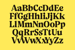 Volkgen Migario - Bold Serif Display Font Product Image 12