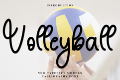 Volleyball Product Image 1