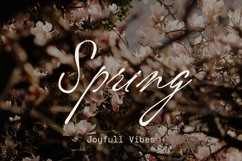 Vordelina Vintage Script Font Product Image 8