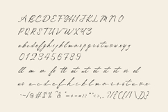 Vordelina Vintage Script Font Product Image 12