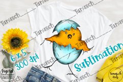 Funny Summer farm Animals Sublimation Bundle PNG Product Image 12