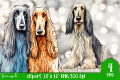 watercolor afghan hound dog sublimation clipart Product Image 2