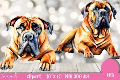 watercolor BULLMASTIFF Dog sublimation clipart PNG Product Image 2
