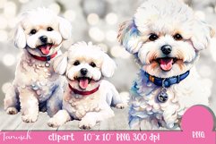 watercolor Bichon Frise Dog sublimation clipart PNG Product Image 2