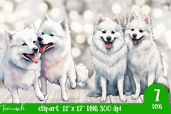 watercolor american eskimo sublimation clipart Product Image 2
