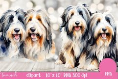 watercolor bearded collie sublimation clipart PNG Product Image 2