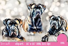 watercolor CANE CORSO Dog sublimation clipart PNG Product Image 2