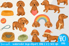 Watercolor dachshund Dogs clipart set Product Image 2