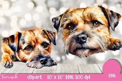 watercolor Border Terrier Dog sublimation clipart PNG Product Image 2