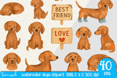 Watercolor dachshund Dogs clipart set Product Image 3