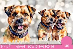 watercolor Border Terrier Dog sublimation clipart PNG Product Image 3