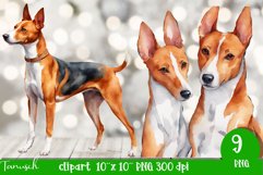 watercolor basenji sublimation clipart PNG Product Image 3