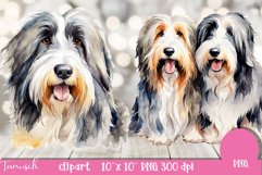 watercolor bearded collie sublimation clipart PNG Product Image 3