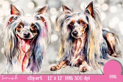 watercolor Chinese Crested clipart Dog sublimation PNG Product Image 3