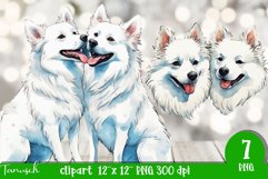 watercolor american eskimo sublimation clipart Product Image 3