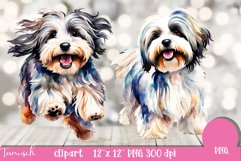 watercolor Havanese clipart Dog sublimation PNG Product Image 2