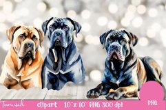 watercolor CANE CORSO Dog sublimation clipart PNG Product Image 3