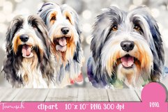 watercolor bearded collie sublimation clipart PNG Product Image 4