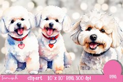watercolor Bichon Frise Dog sublimation clipart PNG Product Image 4